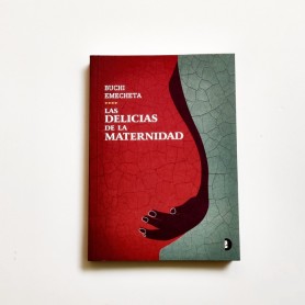 Las delicias de la maternidad - Buchi Emecheta