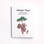 Metamba Miago - Relatos y saberes de Mujeres Afroespañolas - Deborah Ekoka (vv.aa.)